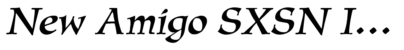New Amigo SXSN Italic